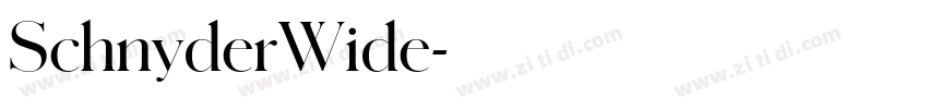SchnyderWide字体转换 SchnyderWide字体转换