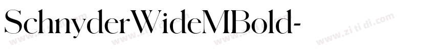 SchnyderWideMBold字体转换 SchnyderWideMBold字体转换