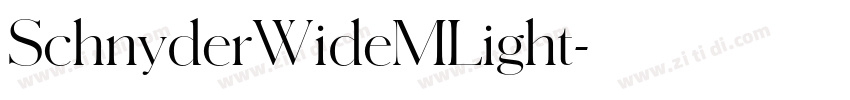 SchnyderWideMLight字体转换