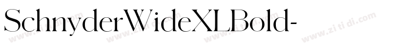 SchnyderWideXLBold字体转换