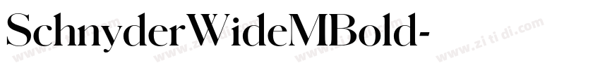 SchnyderWideMBold字体转换 SchnyderWideMBold字体转换