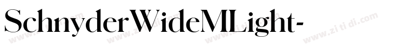 SchnyderWideMLight字体转换