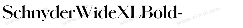 SchnyderWideXLBold字体转换