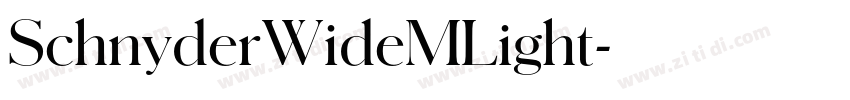 SchnyderWideMLight字体转换