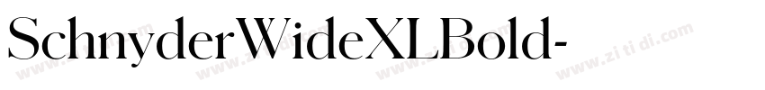 SchnyderWideXLBold字体转换