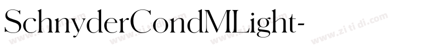 SchnyderCondMLight字体转换 SchnyderCondMLight字体转换