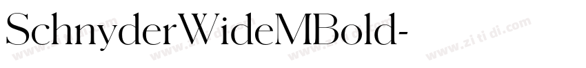 SchnyderWideMBold字体转换 SchnyderWideMBold字体转换