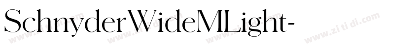 SchnyderWideMLight字体转换