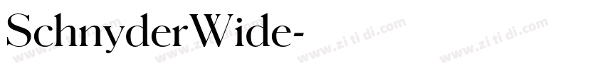 SchnyderWide字体转换 SchnyderWide字体转换