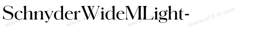 SchnyderWideMLight字体转换