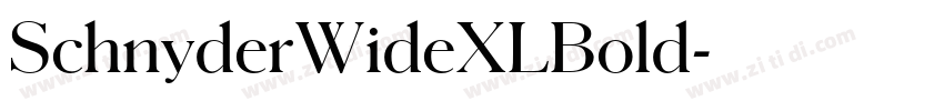 SchnyderWideXLBold字体转换