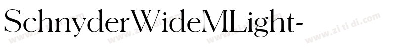 SchnyderWideMLight字体转换