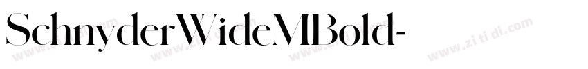 SchnyderWideMBold字体转换 SchnyderWideMBold字体转换