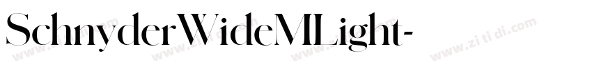 SchnyderWideMLight字体转换