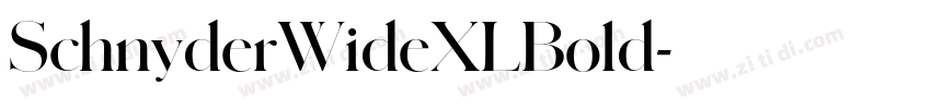 SchnyderWideXLBold字体转换