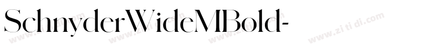SchnyderWideMBold字体转换 SchnyderWideMBold字体转换