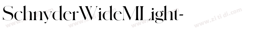 SchnyderWideMLight字体转换