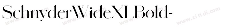 SchnyderWideXLBold字体转换