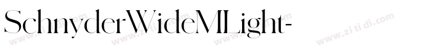 SchnyderWideMLight字体转换