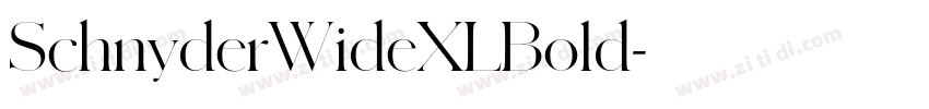 SchnyderWideXLBold字体转换