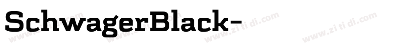SchwagerBlack字体转换 SchwagerBlack字体转换
