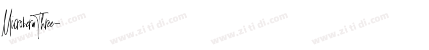 MicroberwThree字体转换