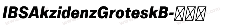IBSAkzidenzGroteskB字体转换 IBSAkzidenzGroteskB字体转换