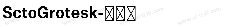 SctoGrotesk字体转换 SctoGrotesk字体转换