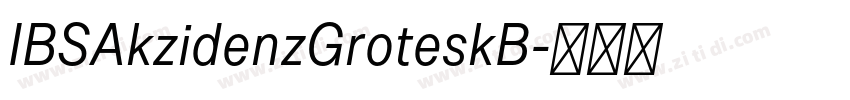 IBSAkzidenzGroteskB字体转换 IBSAkzidenzGroteskB字体转换