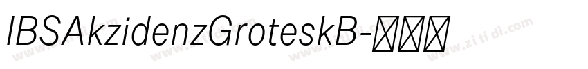 IBSAkzidenzGroteskB字体转换 IBSAkzidenzGroteskB字体转换
