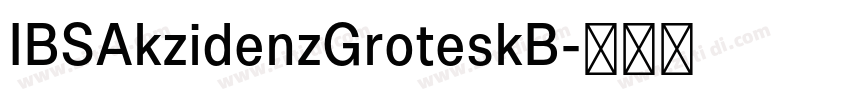 IBSAkzidenzGroteskB字体转换 IBSAkzidenzGroteskB字体转换