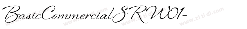BasicCommercialSRW01字体转换