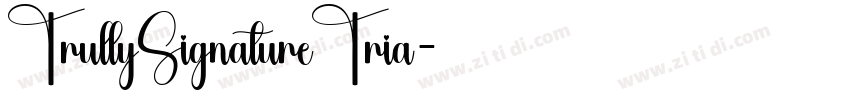 TrullySignatureTria字体转换