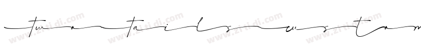 TwoTailsCustomeFont字体转换