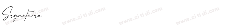 Signaturia字体转换