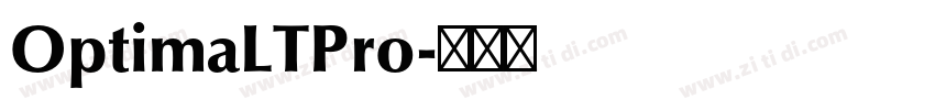 OptimaLTPro字体转换