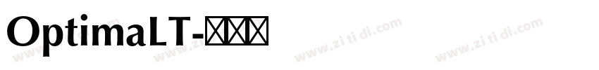 OptimaLT字体转换