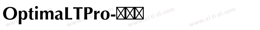 OptimaLTPro字体转换