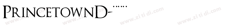 PrincetownD字体转换