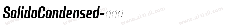 SolidoCondensed字体转换