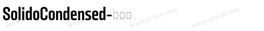 SolidoCondensed字体转换