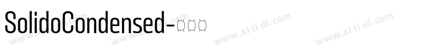 SolidoCondensed字体转换