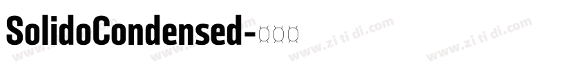 SolidoCondensed字体转换