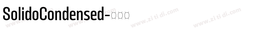 SolidoCondensed字体转换