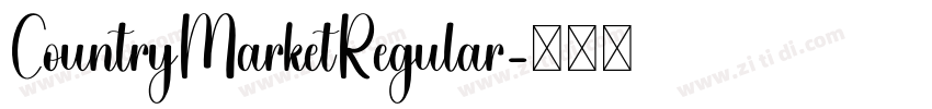 CountryMarketRegular字体转换