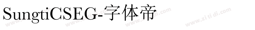 SungtiCSEG字体转换