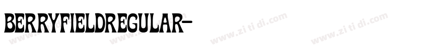 BerryfieldRegular字体转换 BerryfieldRegular字体转换
