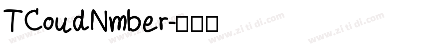TCoudNmber字体转换