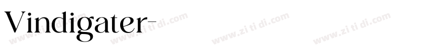 Vindigater字体转换