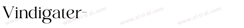 Vindigater字体转换